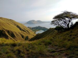 View over the curved bays of Gili Lawa Darat