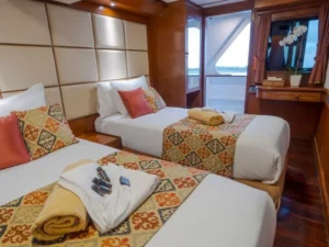 Deluxe twin cabin with direct gangway access aboard MV Mermaid I