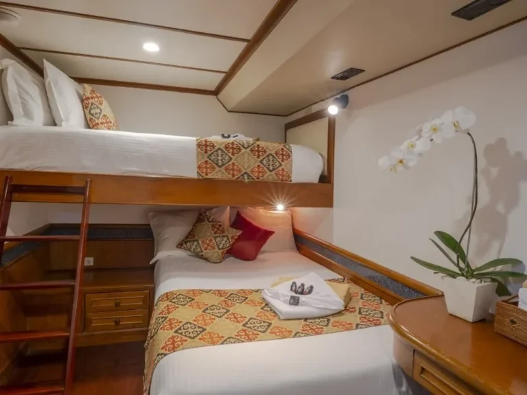 Lower-deck cabin with double and upper berth aboard MV Mermaid I