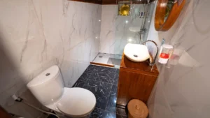 Bathroom with sink and toilet on the lower deck of Neomi Cruise