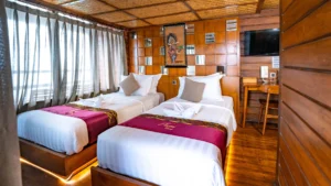 Twin cabin with separate beds and windows on the middle deck of Neomi Cruise