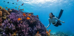 Snorkeller above shallow coral reef at Manjarite near Labuan Bajo