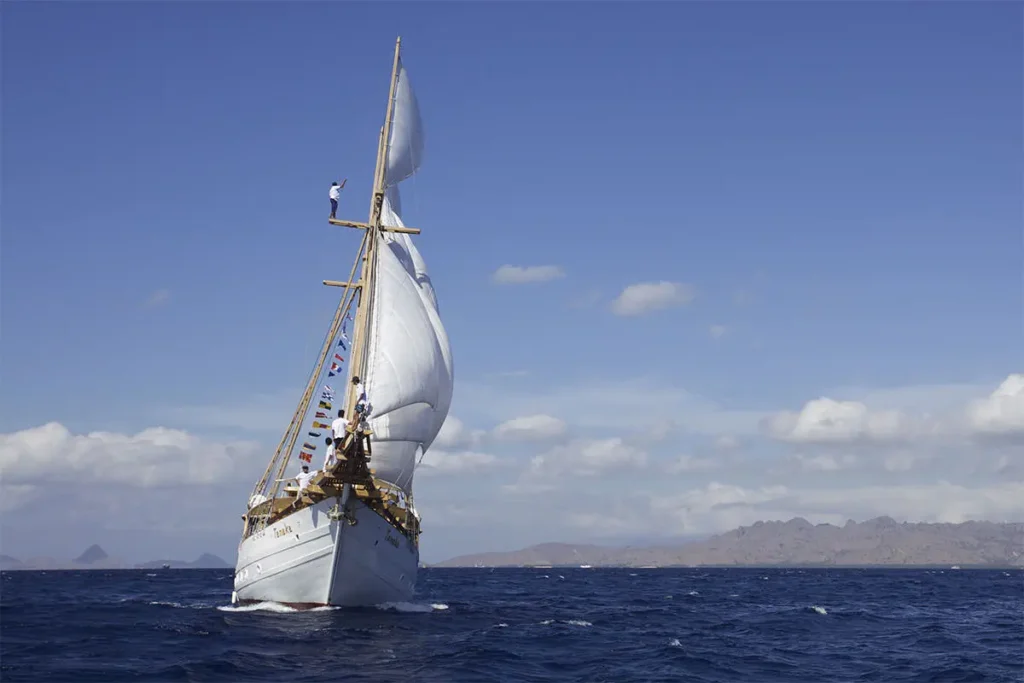 Tanaka Phinisi sailing under white sails