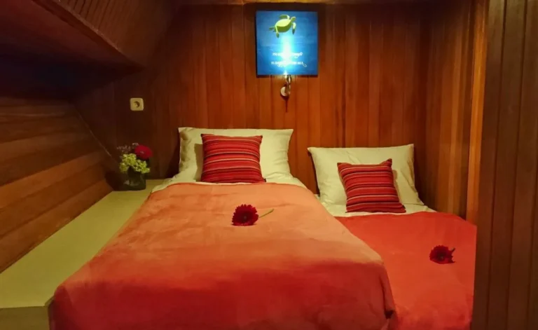 Twin-bed private cabin aboard Thalassa one