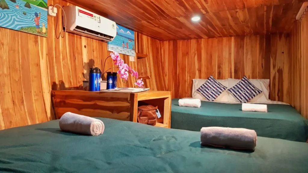 Shared double-king cabin aboard Thalassa two